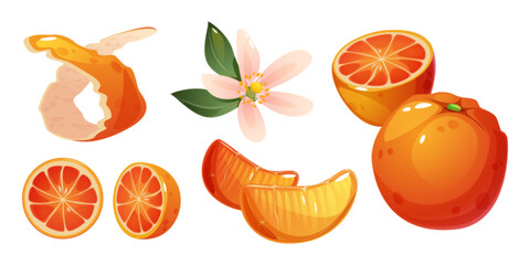 Orange fruit elements set with peeled spiral skin, citrus slice, whole, half fruits and blossom. Fresh tangerine composition showing pink flowers with green leaves, juicy segments, bright peel pieces.