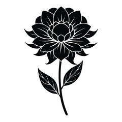 black and white flowers  on white background