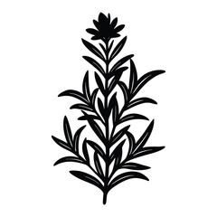 black  flower  on white background