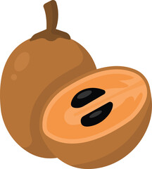 Obraz premium Sapodila Fruit Cartoon Illustration