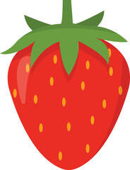Stroberry  Fruit Cartoon Illustration