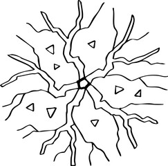 minimalist hand drawn cartoon top view of tree illustration.