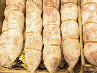 Traditional italian salami sticks covered in white mold for aging process