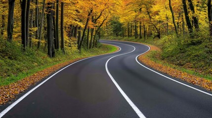 Fototapeta premium Winding road through vibrant autumn forest showcasing colorful foliage and serene nature scene