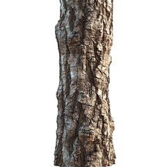 Fototapeta premium Rough tree bark texture, close-up view, isolated on white, nature background; design element. Generative ai