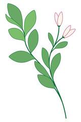 Little flowers and green branch with leaves graphic design on white background.