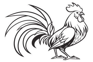Fototapeta premium rooster isolated on white background