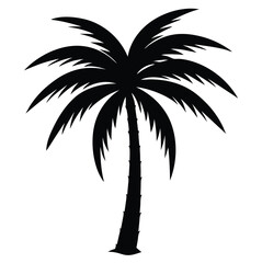 palm tree silhouette