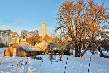 Fototapeta premium Park