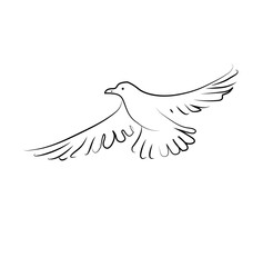 Simple Bird outlines.