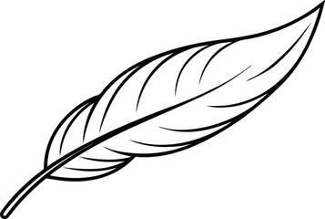 Obraz premium Single Elegant Black and White Bird Feather Illustration