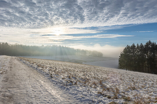 Schneebedecktes Hinterfeld in Ehlscheid im Westerwald