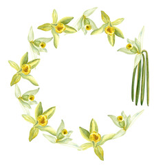 Vanilla orchid flowers and beans watercolor round frame isolated on white background. High quality hand drawn design element perfect for spice box, cafe menu, food packaging, recipes, label logo decor