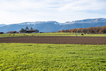 campagne genevoise, Collex- Bossy