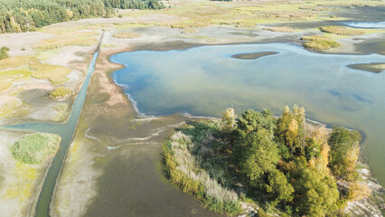 Aerial view of small lake and surrounding forest