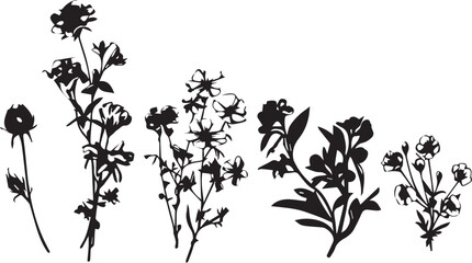 Set flowers. Hand drawn vector illustration