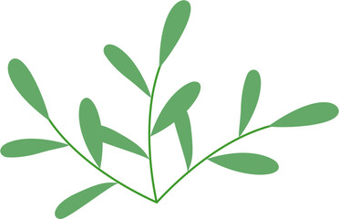 Leaf Illustration