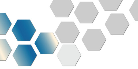 Geometric technology grey amd  white blue  hexagon background. Abstract vector illustration Science technology and medical concept hexagon on transparent background.