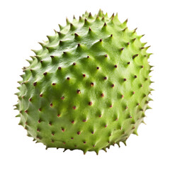 Soursop fruit isolated on transparent background 