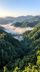 Fototapeta premium Breathtaking Aerial View of Lush Green Mountains with Misty Valleys at Sunrise in Vibrant Nature Landscape