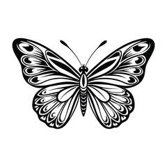  butterfly Black and white vector illustration animal silhouette 
