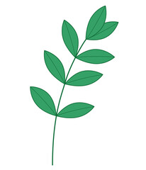 Green branch of fresh natural leaves graphic design on white. Vector illustration.