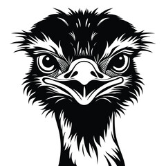  ostrich Black and white vector illustration animal silhouette 
