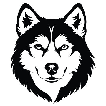  husky head Black and white vector illustration animal silhouette 