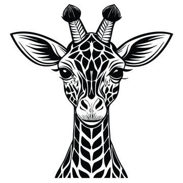  giraffe Black and white vector illustration animal silhouette for t shirt 