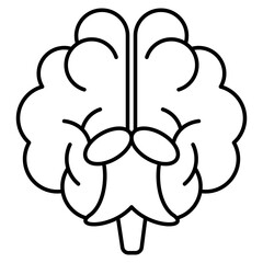 Brainstem
