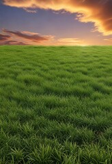 Obraz premium Artificial grass background with a stunning sunset sky, serene environment, outdoor scenery