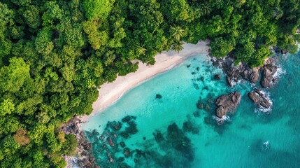 Aerial View of Secluded Tropical Beach and Lush Green Forest