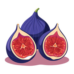 Fig, purple whole fruit and half. Fresh fruit for good health. Vector illustration on background white