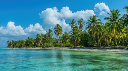 Obraz premium A stunning tropical paradise with crystal-clear waters, white sandy beaches, and palm trees swaying in the breeze.