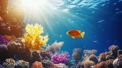 Naklejka premium Pristine Underwater Environment with Natural Light