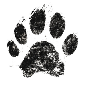 Grunge Style Dog Pawprint Illustration 