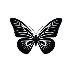 Butterfly Silhouette with Flower and Branch - Elegant Vector Design