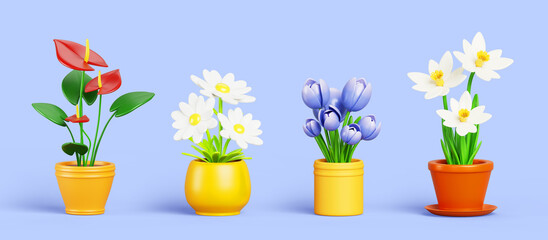 3d set of flowerpots isolated on blue background render. Anturium, daisy, tulip, daffodil. House plants with green leaf and color blossom, flower shop or home interior design elements. 3D illustration