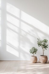 Fototapeta premium Minimalist interior design showcases small potted trees in natural clay planters on light wooden flooring against a clean white wall, creating a fresh, organic feel in the space