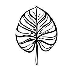 Fototapeta premium Ornate Monstera Leaf Illustration