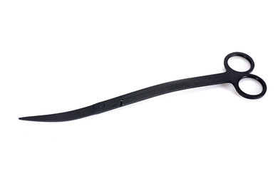 pair of scissors in studio