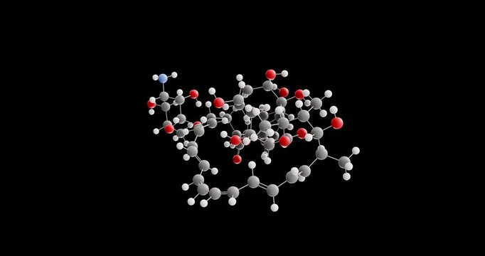 Amphotericin B molecule, rotating 3D model of antifungal medication, looped video on a black background