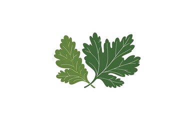 Two Parsley Leaves, Flat Lay, Isolated on White Background, Cooking Illustration