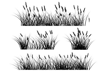 pampas grass silhouette black, reeds grass set