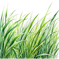 Naklejka premium Watercolor Illustration of Grass Painting - Vibrant Green Textures AI Generated