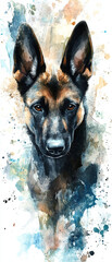 Adorable Watercolor Portrait of a B2 Belgian Malinois Dog Capturing the Playful Spirit and Unique Features of This Beloved Canine Breed in a Colorful Artistic Style