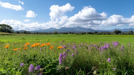 Fototapeta premium Sunny meadow wildflowers, mountain backdrop, idyllic rural landscape, perfect for travel brochures