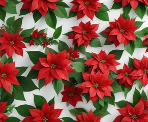 Festive red poinsettia flowers arrangement with green leaves on white background, decoration, floral