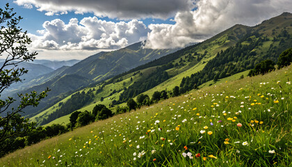 Mountain Meadow in Bloom