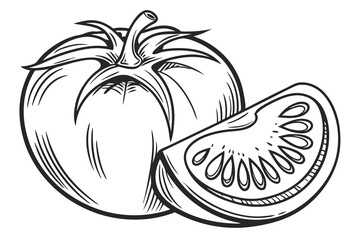 tomato illustration